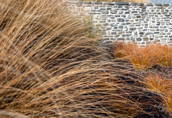 Property Organised tussocks